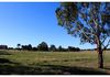 269 Forest Reefs Road, Millthorpe