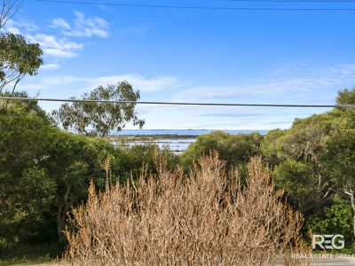 14 Portarlington Rd, Newcomb