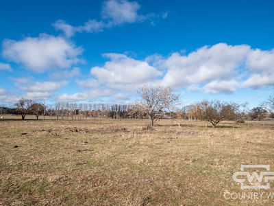 111 Llangothlin Road, Guyra