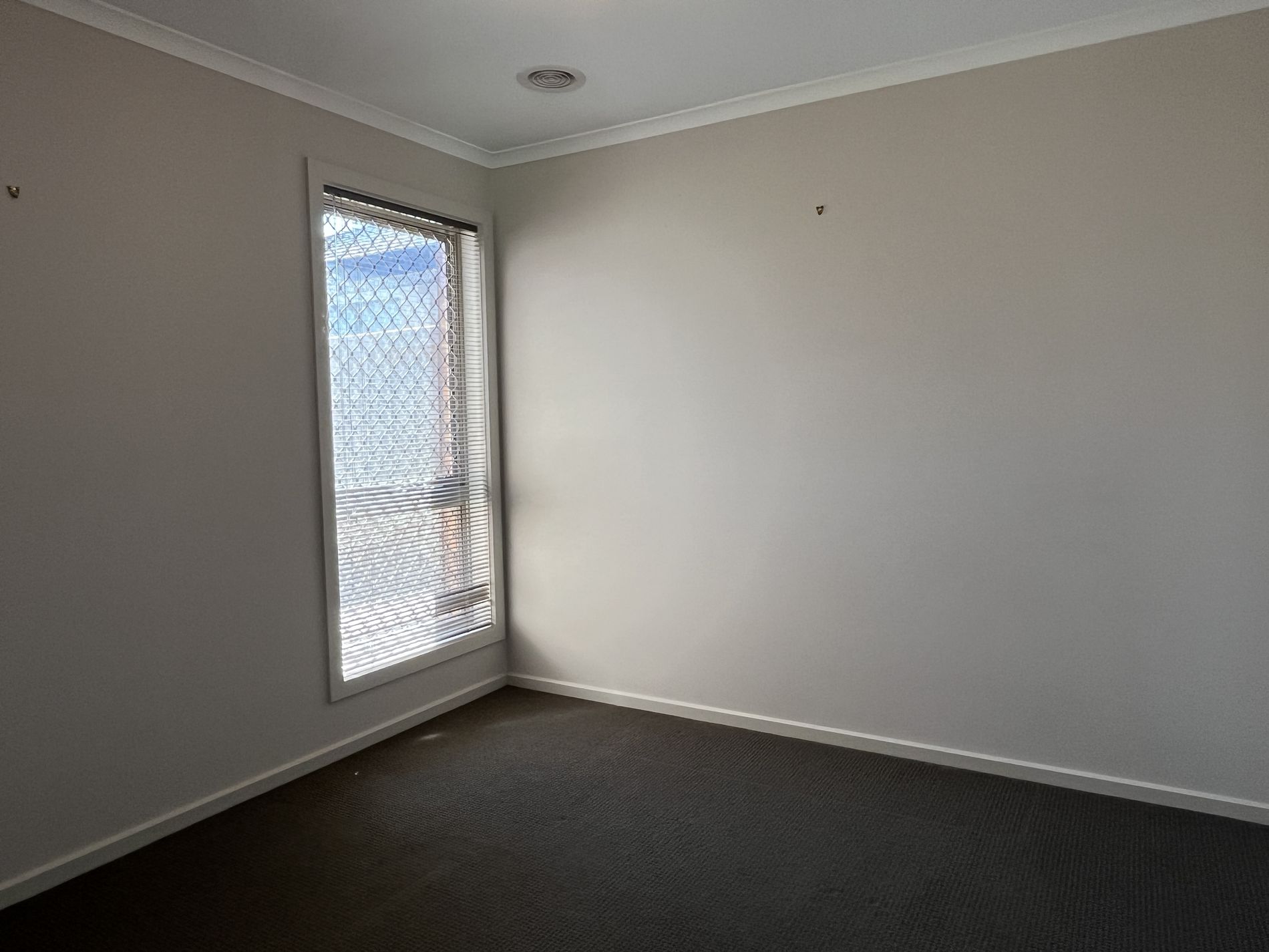 47 Treefern Street, Leopold