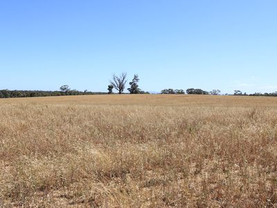 Lot 2, Murphy's Lane, Toolleen