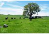 110 Offner Road, Borenore
