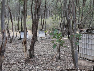 Lot 1  Tait Hamilton Road, Gobarup