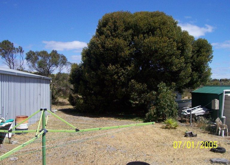 48 Scarlet Runner Road, The Pines