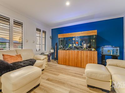 15 Curlewis Drive, Baldivis