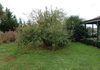 84 Kinghams Lane - Millthorpe, Orange