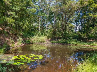 1148 Tuntable Creek Road, Nimbin