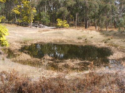 Lot 6 Nicholson Road, Kingsgate