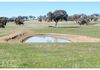 776 Boree Lane, Orange