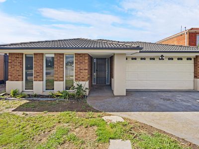 51 Pepperbush Circuit, Cranbourne