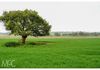 Lot 20 & 84 Henry Parkes Way, Manildra