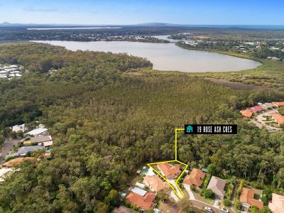 19 Rose Ash Crescent, Noosaville