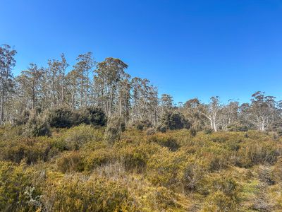 331L Arthurs Lake Road, Arthurs Lake