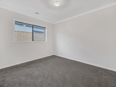 77 Springleaf Avenue, Clyde North