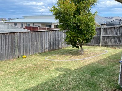 55 Scenic Drive, Gillieston Heights
