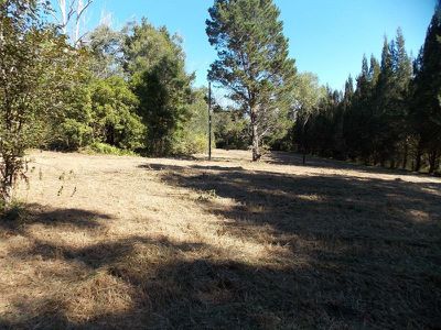 Ourimbah