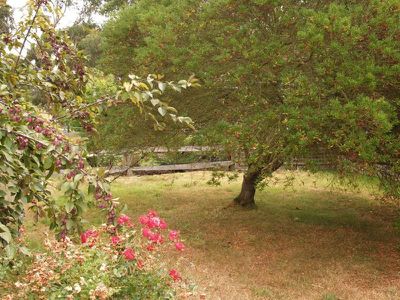 19 Benders Road, Huonville