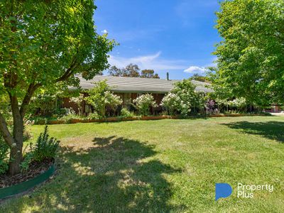 222 Eagles Road, Harcourt