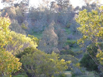 370 Quarry- Dookie Road, Dookie