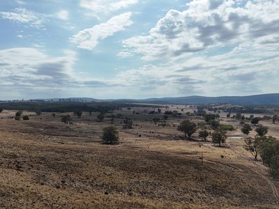 117 Hillside Lane, Parkes