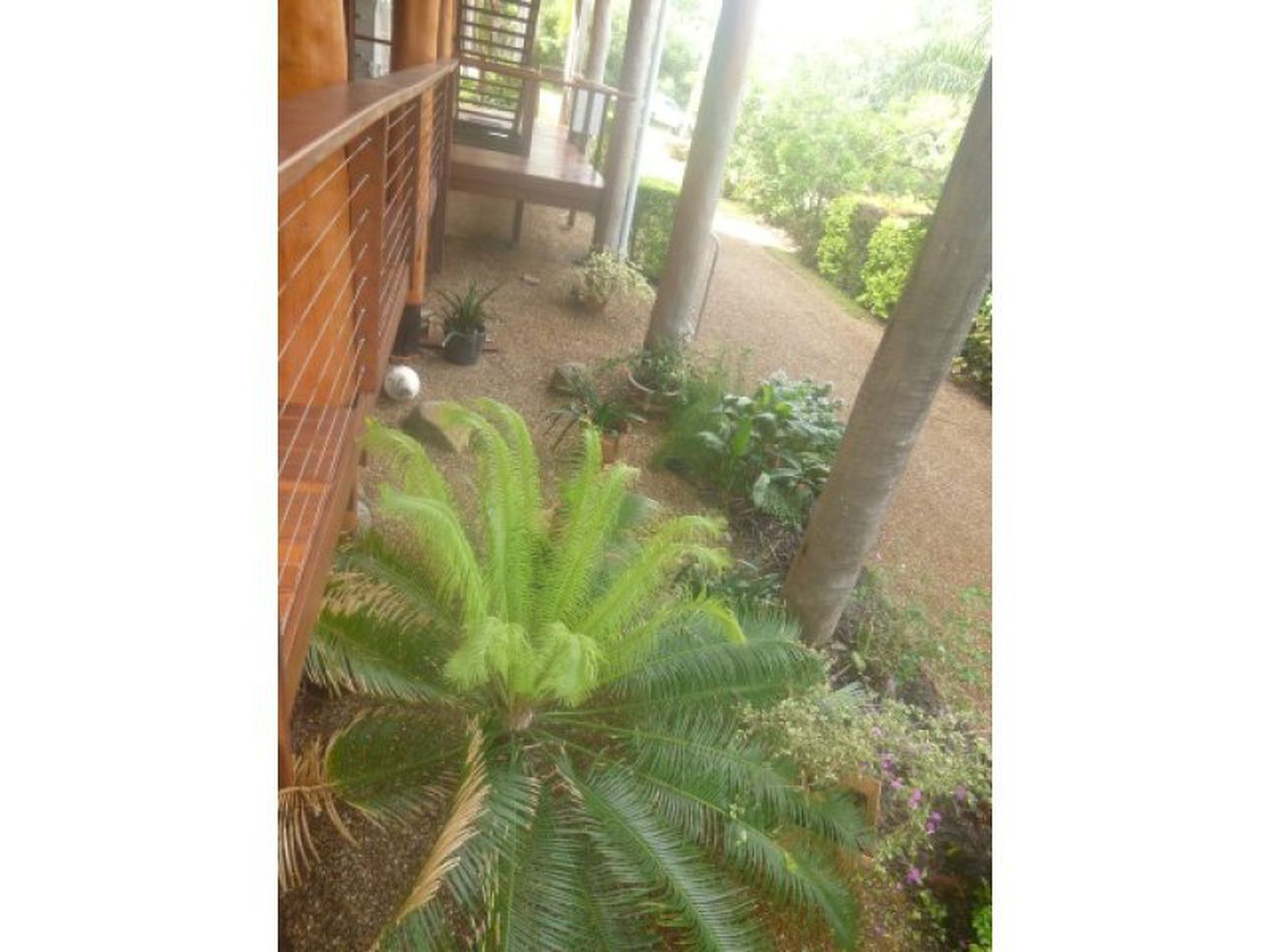 73 May Street, Cooktown