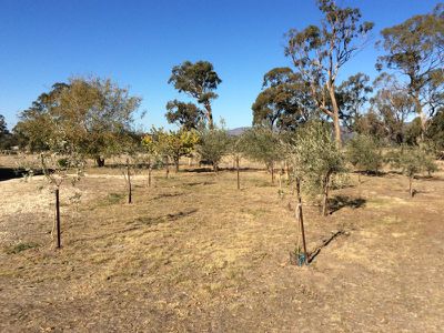 70 Ashes Bridge Road, Tallarook