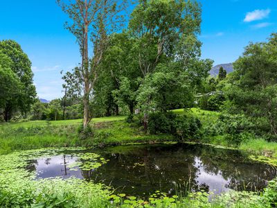 442 Blue Knob Road, Nimbin