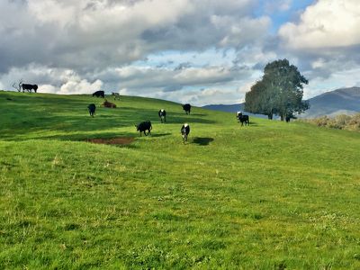 Lot 28 Back Creek Road, Yackandandah
