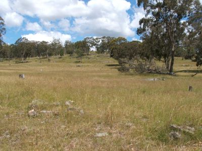 Lot 355, 354 Torrington Road, Stannum