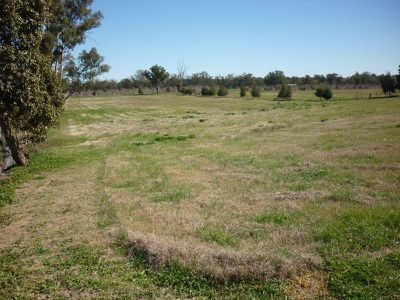 345 Macquarie Street, Dubbo