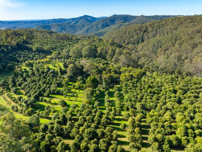 480 Ponsfords Road, Comboyne