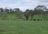 Lot 30, * Wicks Road, Orange