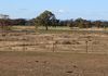 Back Trundle Road, Parkes