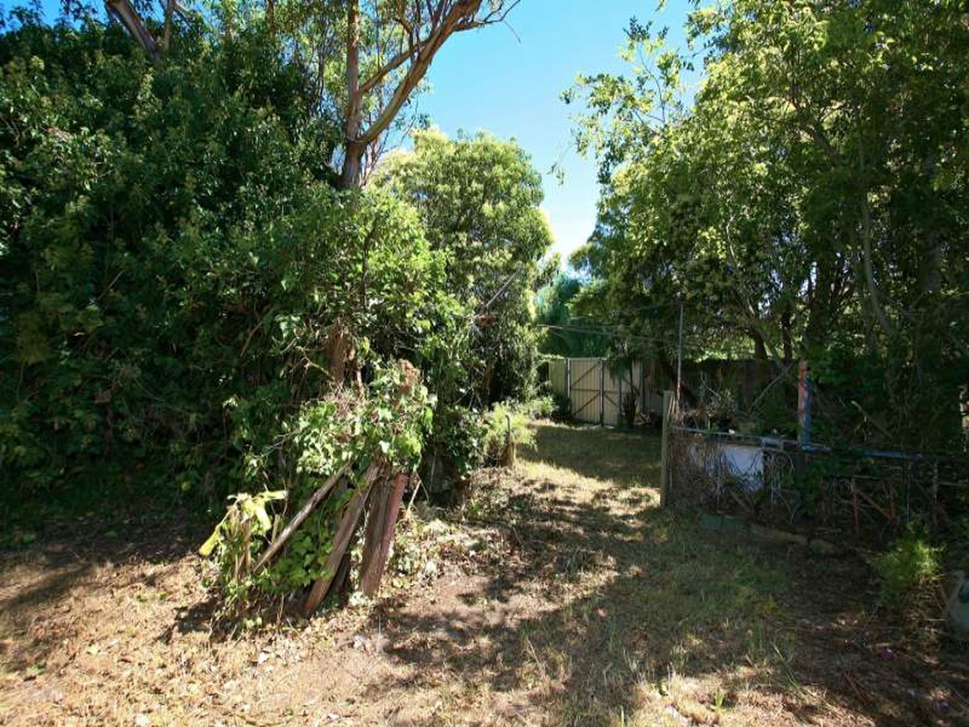 4 Hambly Street, Botany