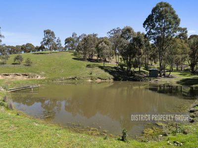 Bonnie Doon