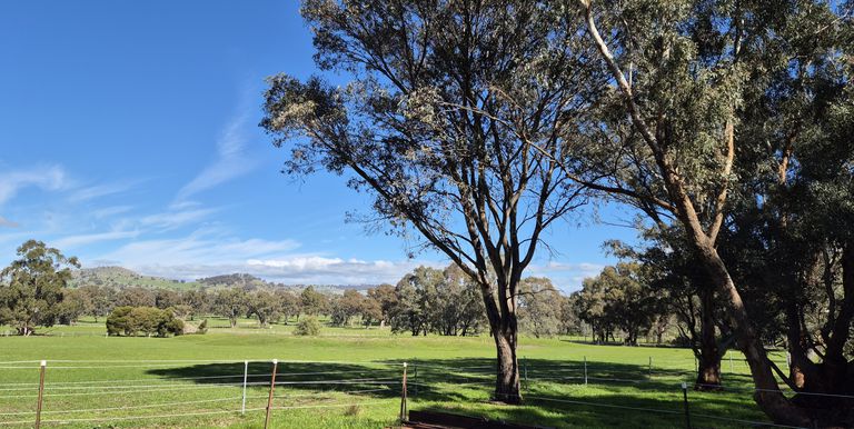 10 Dunnings Road, Balmattum