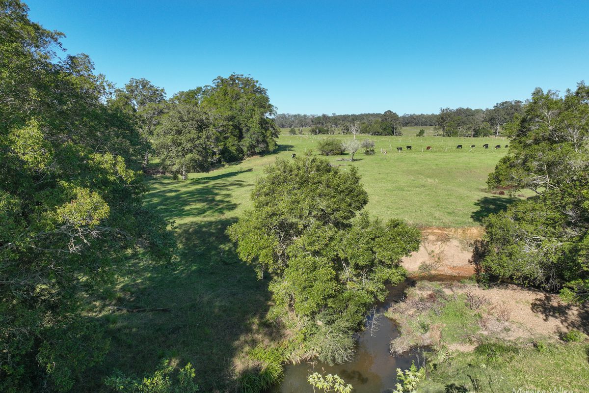 124 Burgmans Lane, Lansdowne