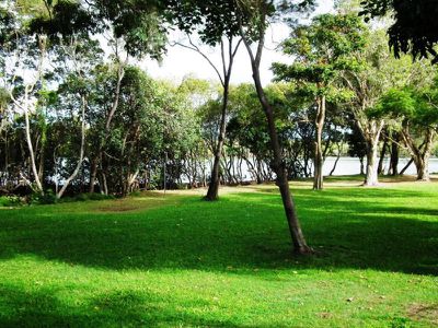 1 / 151 Sunset Boulevarde, Tweed Heads West