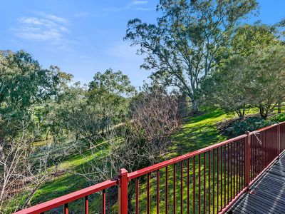 155 Yellow Box Road, Hilldene