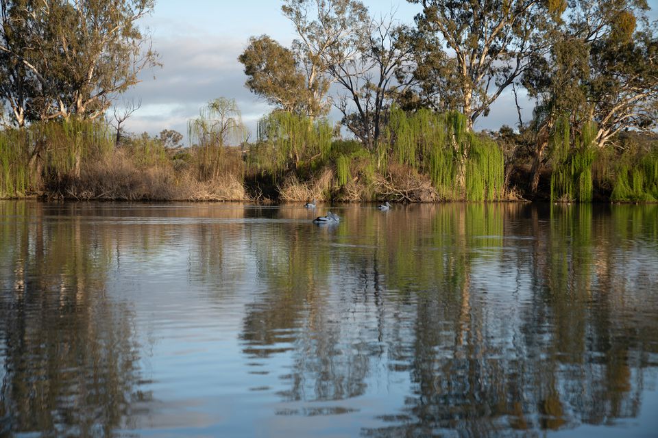 23 Herrmanns Landing Road, Nildottie