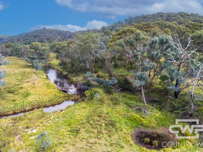 4291 Pinkett Road, Glen Innes