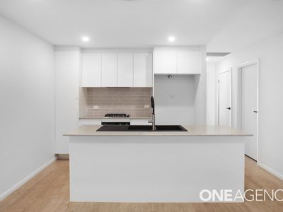 7 Callistemon Place, Barrack Heights