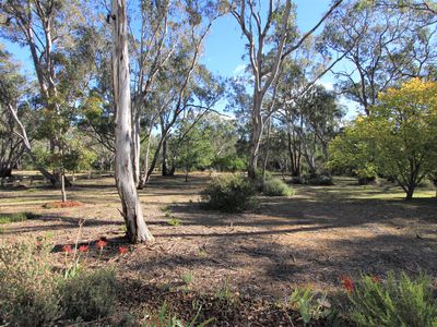 81 Forest Drive, Heathcote