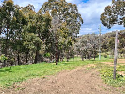 165 GHIN GHIN ROAD, Whiteheads Creek