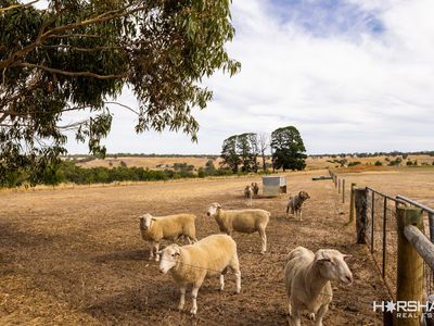 1305 Mooree-Culla Road, Culla