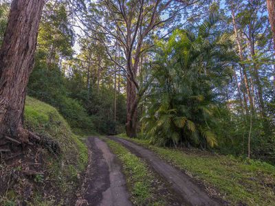 1959 Cawongla Road, Cawongla