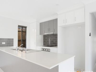 9 Wattlebird Court, Redbank Plains