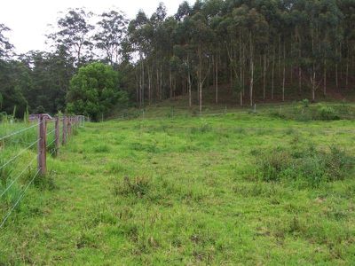 Lot 2, Upper Cedar Creek Road, Maleny