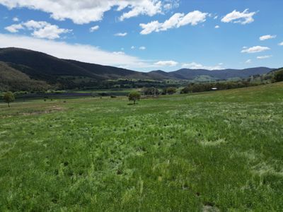 Lot 1, Sec 19, "The Block" Murray Valley Highway, Bullioh