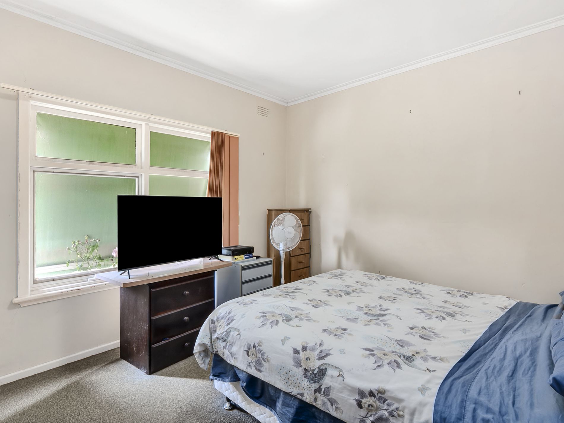 15 College Street, Newtown